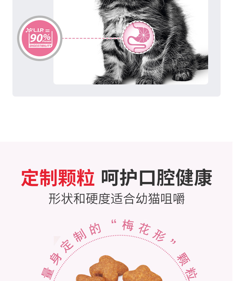 Mèo tham nhũng - Royal Canin Homemade Royal Cat K36 Thức ăn cho mèo / 4-12 tháng tuổi 4Kg - Cat Staples hạt cuncun cho mèo