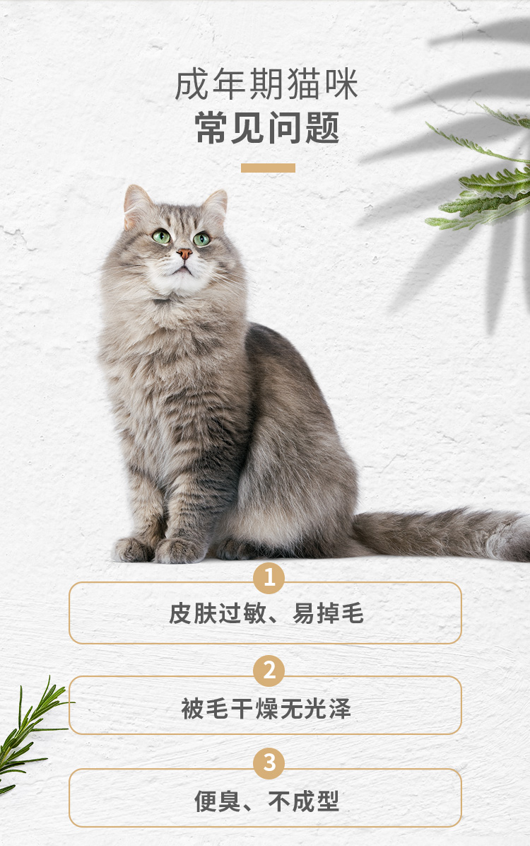 Mèo tham nhũng - PetMaster Permasite Công thức làm tóc trong nhà Thức ăn cho mèo 10kg - Cat Staples hạt zenith cho mèo