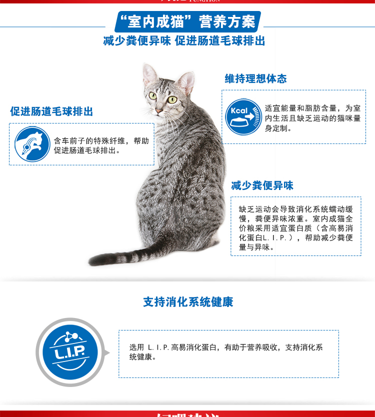 Mèo tham nhũng thức ăn cho mèo hoàng gia i27 trong nhà thành thức ăn cho mèo khuyến mãi cho thú cưng lông IN27 thức ăn chủ yếu cho mèo 2kg * 2 gói - Cat Staples Hạt Cateye cho mèo có tốt không