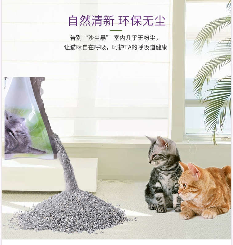 Mèo tham nhũng CatMagic 喵 膨 enton bentonite khử mùi than hoạt tính mèo không có bụi cát kết tụ 14 pounds - Cat / Dog Beauty & Cleaning Supplies