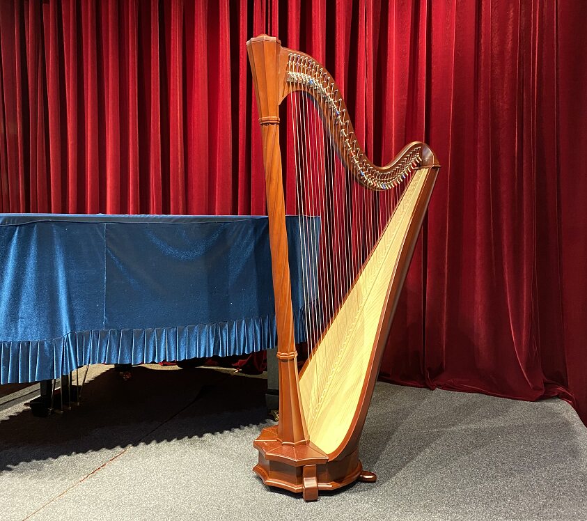 Harp 40-string Roman column big harp classical harp professional musical instrument learning practice test