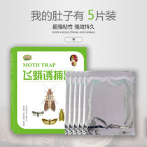 Moth trap kills moths moths moths moths midges moths midges Indian Valley borers rice noodles moth traps 5 pieces