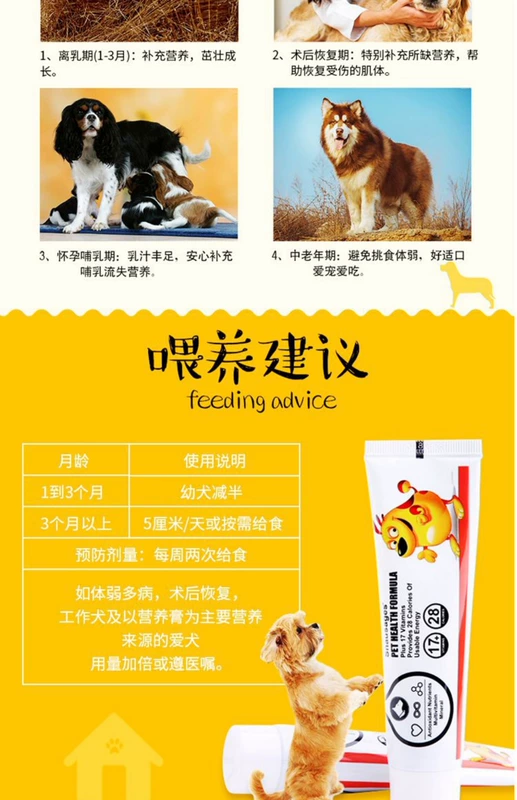 Mèo Shijia với kem dinh dưỡng cho thú cưng vitamin Anh ngắn làm đẹp ngắn Garfield mèo mang thai phục hồi dinh dưỡng toàn diện - Cat / Dog Health bổ sung