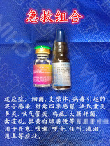 Cockfighting medicine cockfighting supplies cockfighting training cockfighting competition Thailand cockfighting medicine cockfighting cold cough