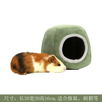 Зеленое тыквенное гнездо