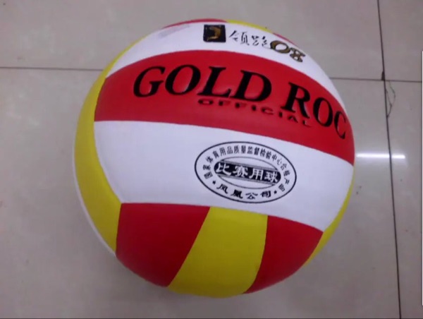 Ballon de volley - Ref 2010816 Image 4