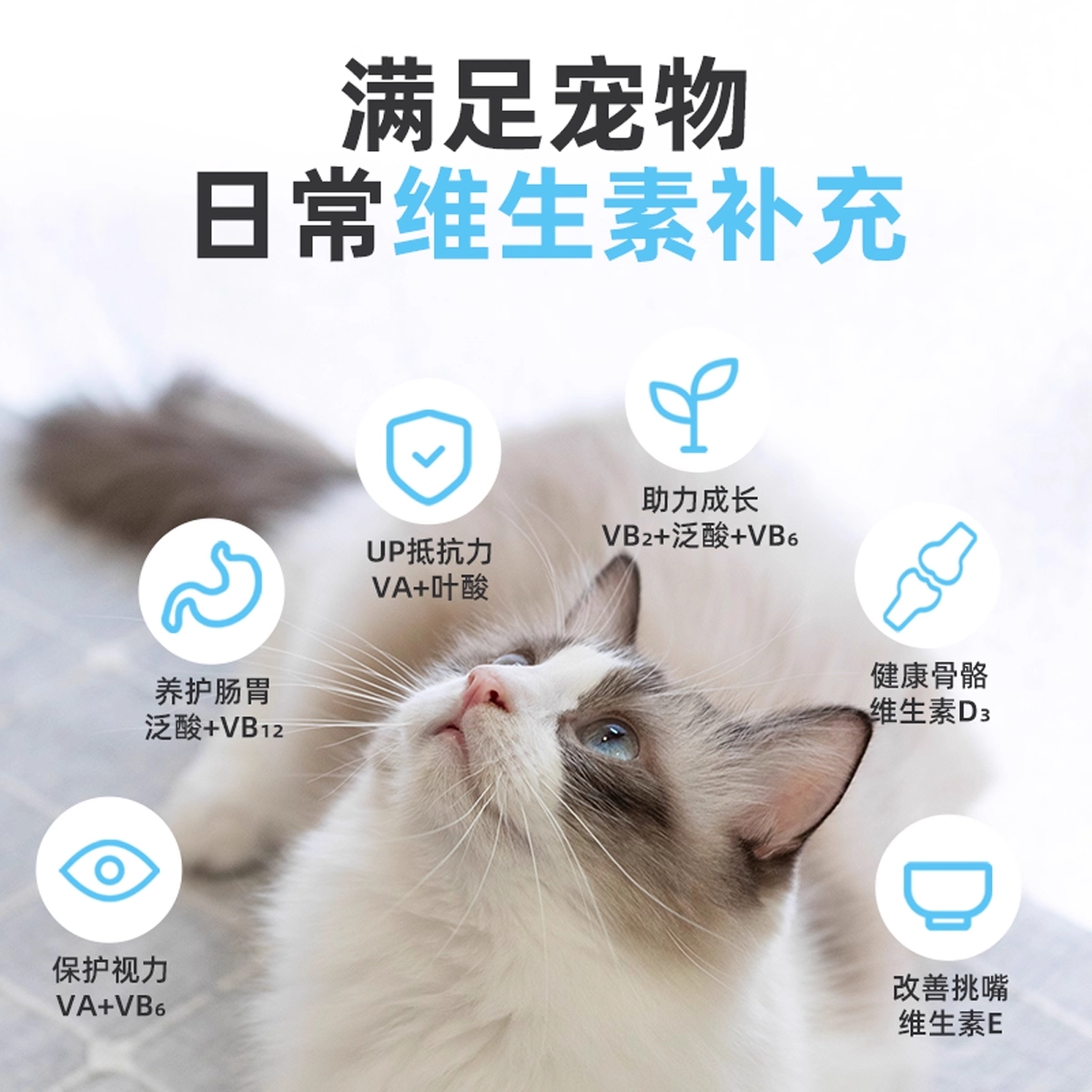 解惑毛球烦恼：猫咪专属的消化好帮手