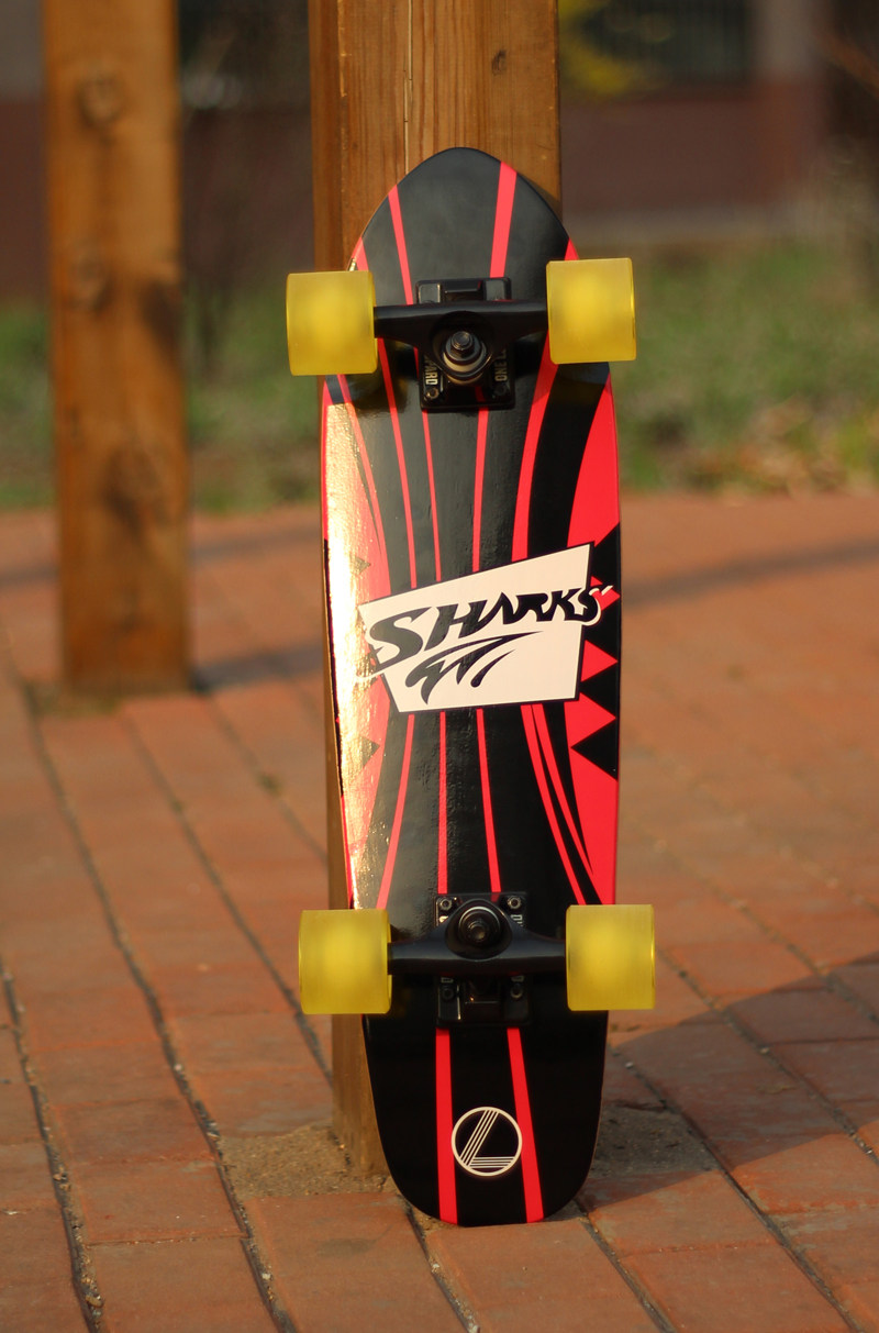 Skateboard pour homme femme - Ref 2597287 Image 18