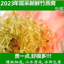 Sichuan specialty fresh bamboo birds nest wild bamboo flower bamboo fungus vegetarian mountain mushroom ingredients 500g hotel high-end ingredients