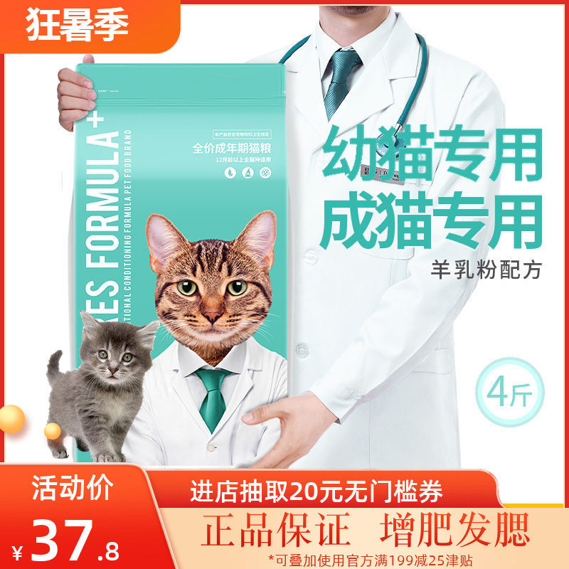 Kerry's cat Karey Cat Orange Cat Kitty 1 - March Kerris silver gradient and fertilizer nutrition