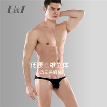 U & I underwear mens trend personality ultra-thin transparent ice silk UI youth low waist bump sexy mens triangle trousers