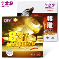 Tình bạn đích thực 729-837 cao su bóng bàn cao su tay áo cao su dài giày bóng bàn 