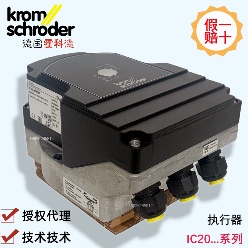 Electric Actuator Ic20-07W2T 15W3T 60W3T R10 15W3E 30W3E Ic20-60W3E