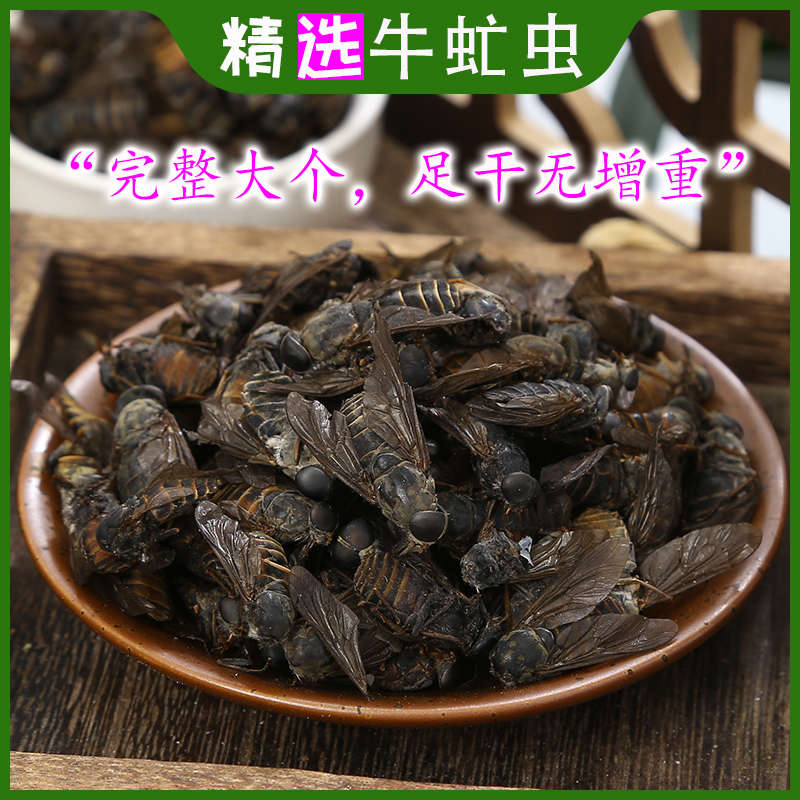 Selected Chinese herbal medicine horsefly 100g gadfly cattle fly gadfly cattle rogue
