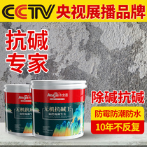 Wall Return Alkali Treatment Anti-Alkali Gram Anti-Alkali closed primer Wall Paste imperméable Bailyalkali Alkali Removing alkali No. 1