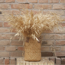 Oatmeal wheat dried flower jewelry store kindergarten Tavern B & B grain decoration ornaments opening gifts