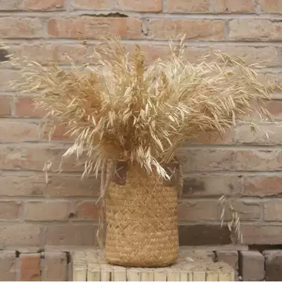 Oatmeal and wheat ear dry flower jewelry store kindergarten bistro B & B grain decoration decoration decoration opening gift