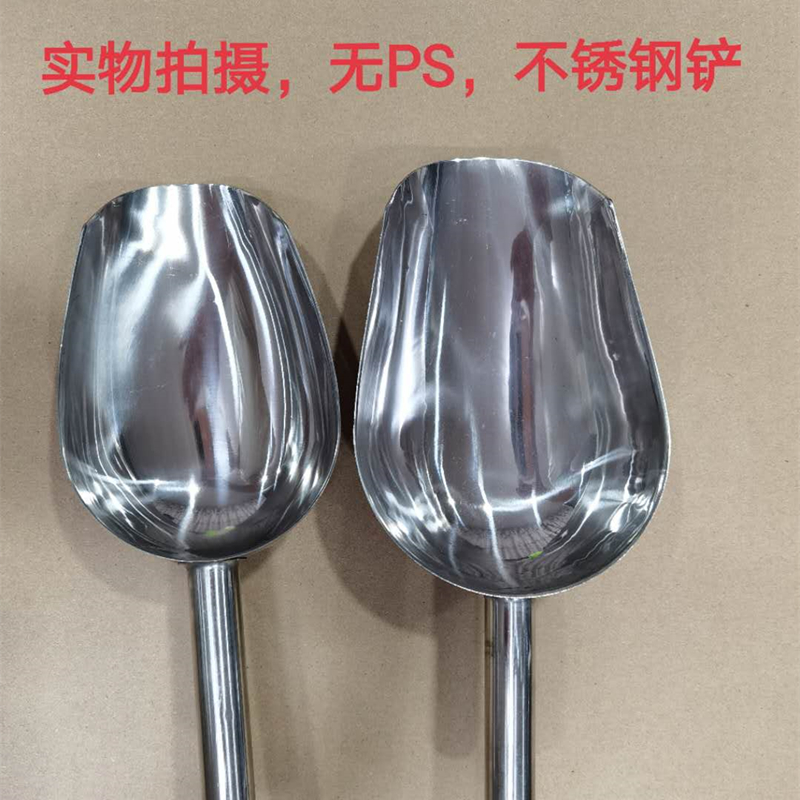 Stainless Steel Orchid Shoveling Seed Flower Swap Plant Shovel Large Capacity Upper Material Shovel Pinch Gardening Home Seed Florist Tools