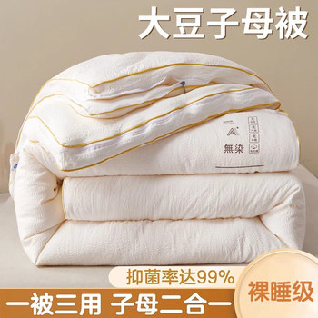 Soybean Fiber Duvet, Two-In-One Zipper Style, Thickened Winter Quilt, Warm Spring and Autumn Cotton Quilt, Suitable for All Seasons
