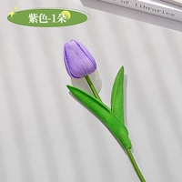 1 фиолетовый