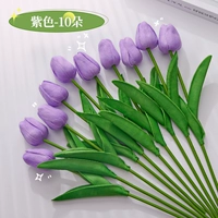 Фиолетовый 10