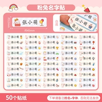 D1 · Pink Rabbit Name Paste (50 паттернов) -Полета и название замечаний