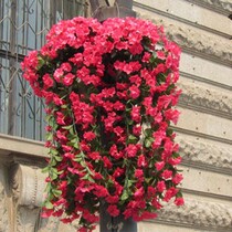 High emulation floral violet hanging wall floral vines Vine Decoration Flowers Purple vines Vines Vine Flowers and Flowers Flowers