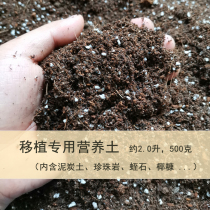 Gift plant transplantation seedling special nutrient soil Succulent universal type family balcony flower planting vegetable garden art soil