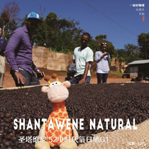 Ethiopia West Damobansha Santa Viña 52 hours anaerobic sun light roasted coffee beans 227g