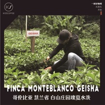 2021 New Season Columbia White Mountain Manor Guixia Washed Coffee Beans Shallow Roast 100g