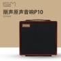 LSM Lisheng P10 100W Sạc Loa Guitar Acoustic Bluetooth Bouncing Finger Nhạc cụ với Micro không dây - Loa loa loa sub hơi