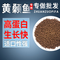 Sky Horse Yellow Pelteobagrus Fodder Breeding Yellow Spicy din Special-en-Spurs Yellow Spurs Yellow Spurs Yellow Spurs fish grain Bait Fish Bait bait