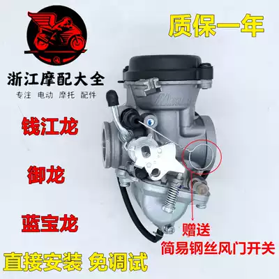 Qianjiang Parts Qianjiang Long QJ150-19C Yulong QJ125-26A Lanbaolong QJ150-17A Carburetor