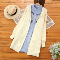 Pregnant womens autumn suit fashion autumn out maternity cardigan two-piece loose Korean Spring and Autumn Sweater