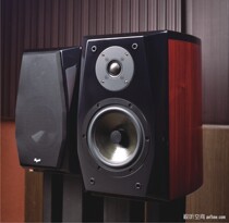 cayin T50 Kaiyin Spach LYRE fever bookshelf speaker Denmark Danish piano paint