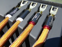 United States Madison Madison Audio Lab ESR-1 horn line sound box line 2 5 meters pair