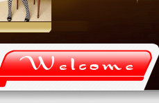 Pads pour soutien-gorge - Ref 810480 Image 13