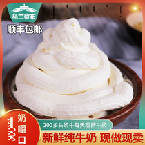 Chew roll Ken Uzimane Mongolian handmade yogurt cream replacement meal ketogenic diet water dairy products