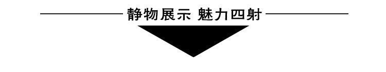 Sac pour homme - Ref 49450 Image 10