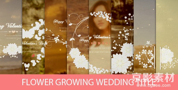 AE模板-唯美花儿婚礼标题动画展示片头 Flower Growing Wedding Title