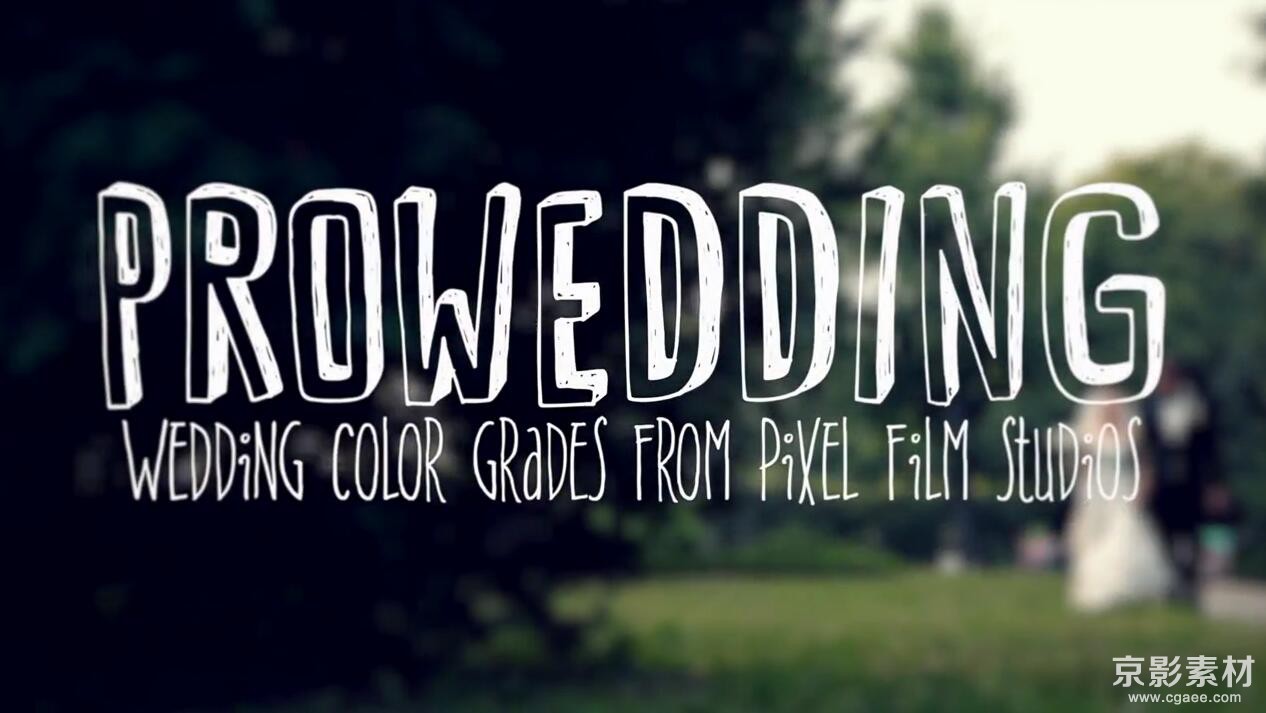 FCPX调色插件 ProWedding-多种婚礼调色效果预设效果Final Cut Pro X 插件