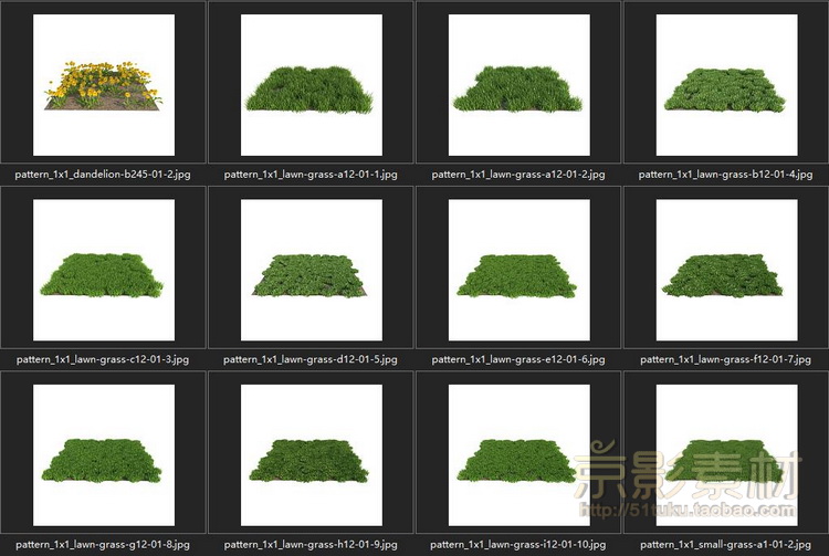 HQ Grass 1 for Cinema4D-226个花草植物C4D模型Cinema4D模型