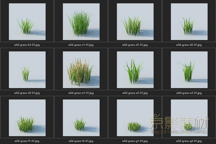 HQ Grass 1 for Cinema4D-226个花草植物C4D模型Cinema4D模型