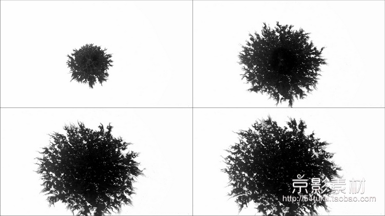 Ink Blots V2 60组水墨滴落印迹墨水散开晕染高清视频素材