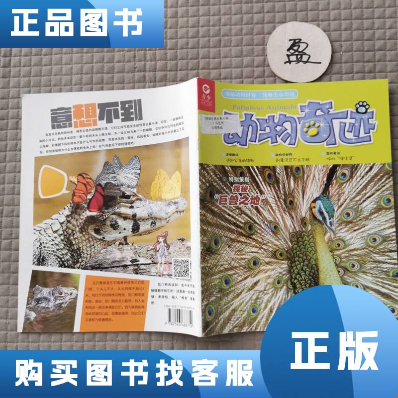 探秘耳道深处的高清智能视界