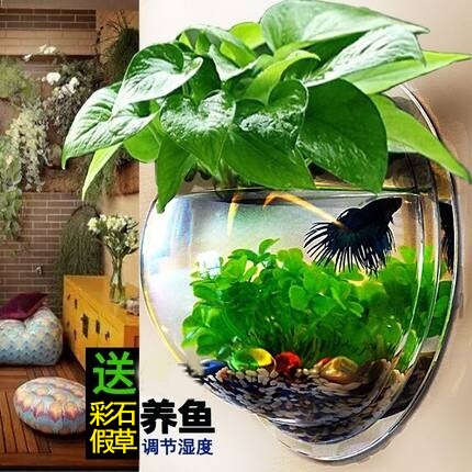 Tire fish tank wall wall green dill flower hanging wall fish breeding wall hanging acrylic flower pot hanging wall aquarium