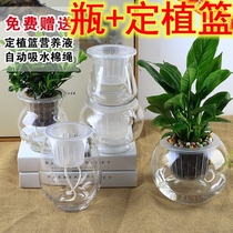 Water raising flowers Water Cultivation Water Cultivation Special Glass Vase Container Green Ole Fish Tank Fixed Planting Basket Flower Pot integrated hot bend