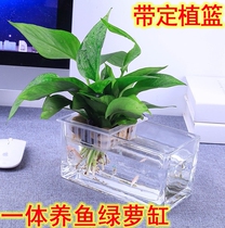 Integrated heat bending glass fish tank aquarium vase with set planting basket to raise green lori integral water cultivation basket