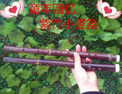 Natural Zizhu small flute Beginner flute junior flute professional practice direct flute special hot sale