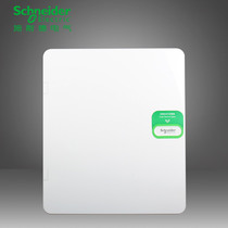 Schneidertianlang distribution box 24-bit loop strong electric box indoor wiring box switch box concealed in white door